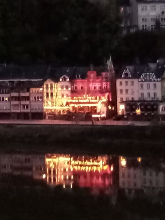 Ausblick Moselstern Hotel Brixiade & Triton