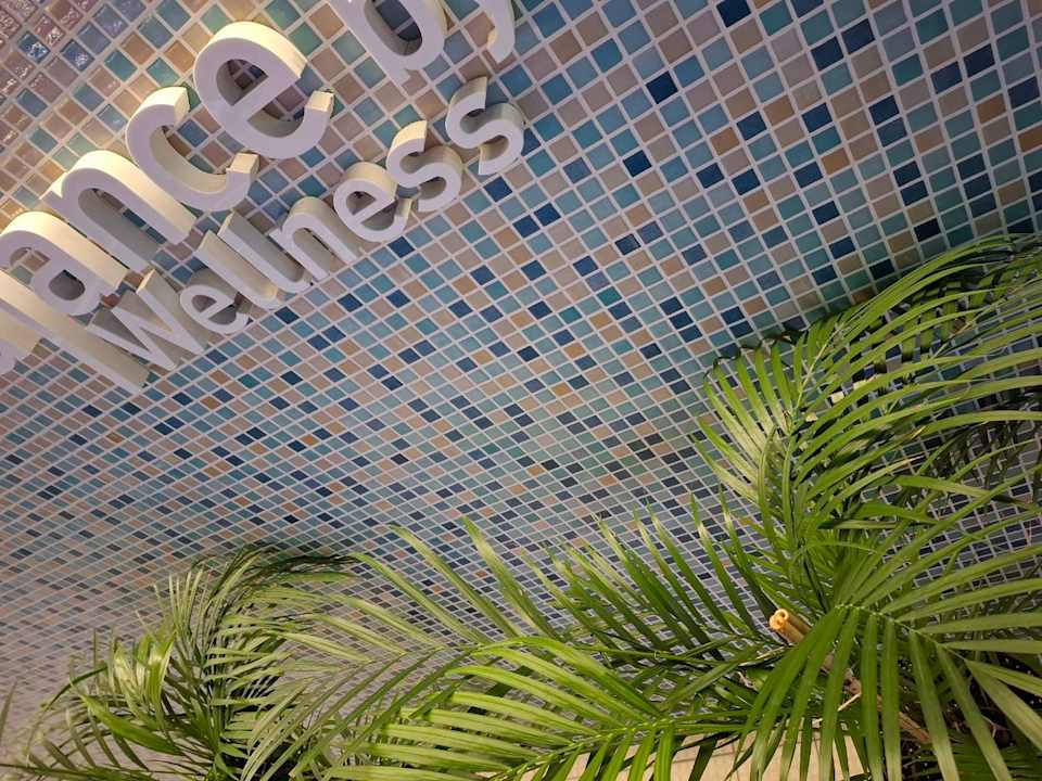 Pool Hotel Novotel Katowice Centrum