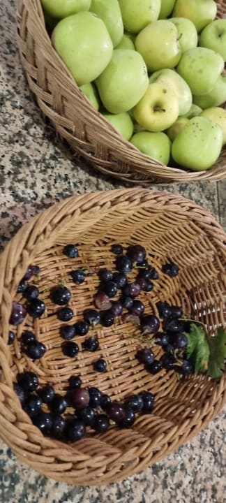 Gastro A11 Hotel Obaköy