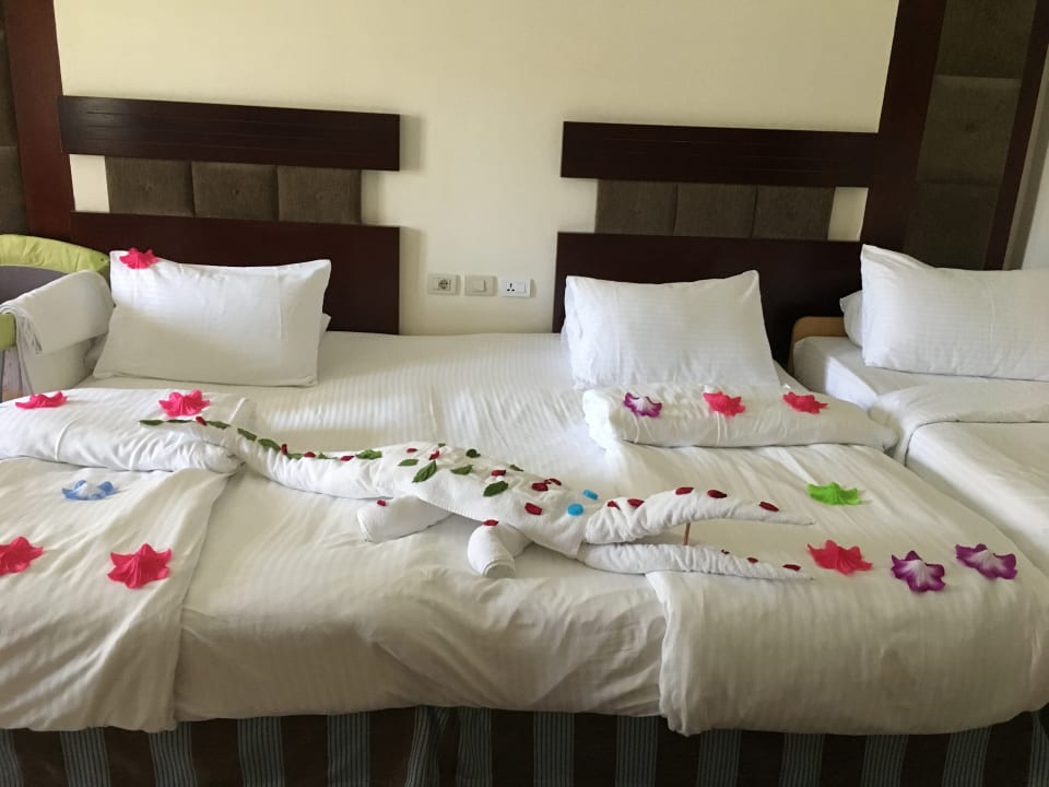 Zimmer Rixos Sharm El Sheikh Adults Only 18 +