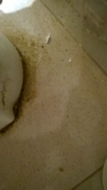 Zimmer Regina Resort and Aqua Park Hurghada