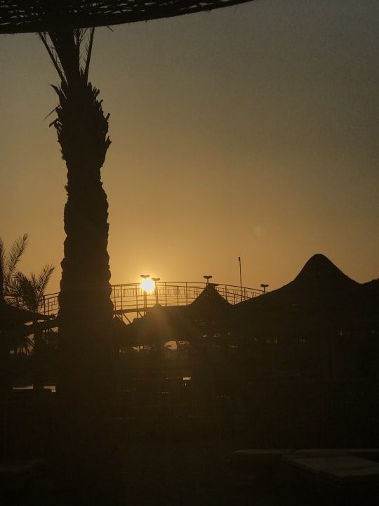 Ausblick Desert Rose