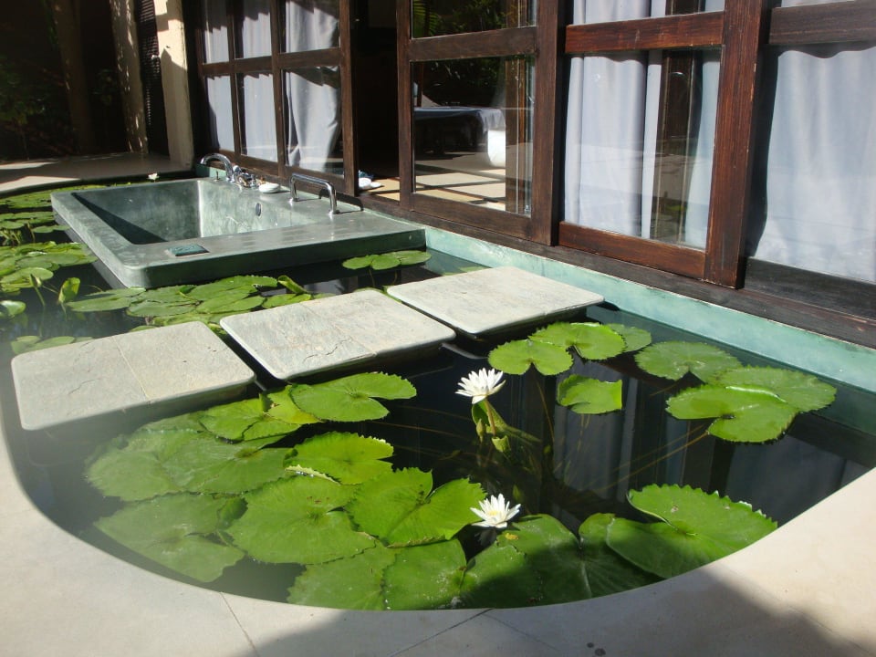 Bei Sonnenaufgang öffnen sich die Blüten Sheraton Hua Hin Pranburi Villas