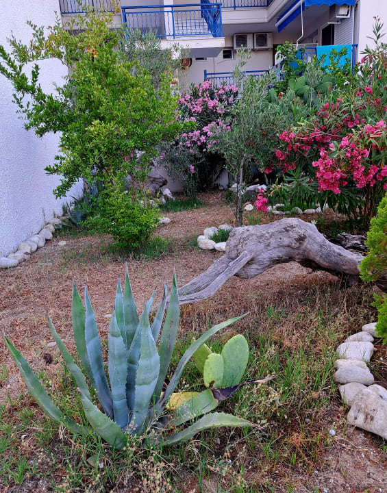 Gartenanlage Hotel Apollon