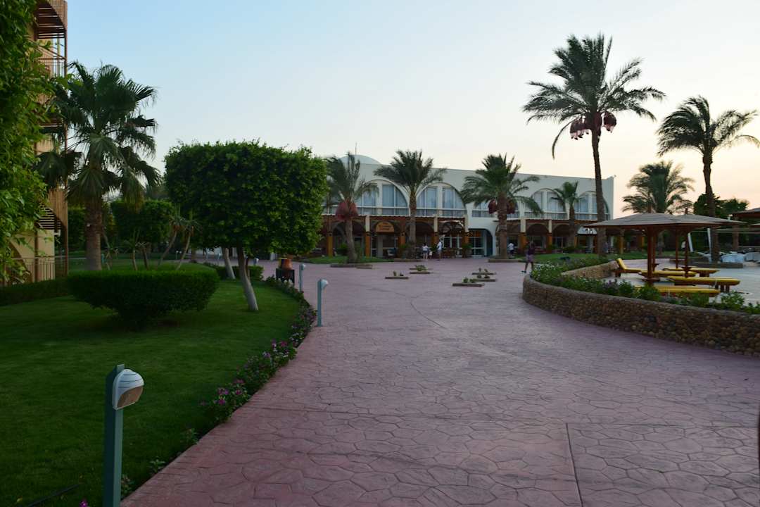 Gartenanlage Desert Rose