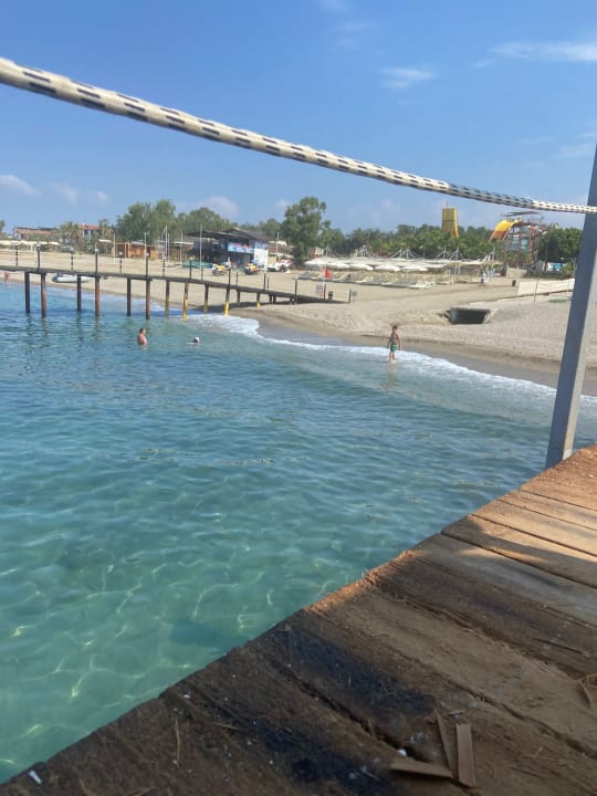 Strand Dizalya Palm Garden