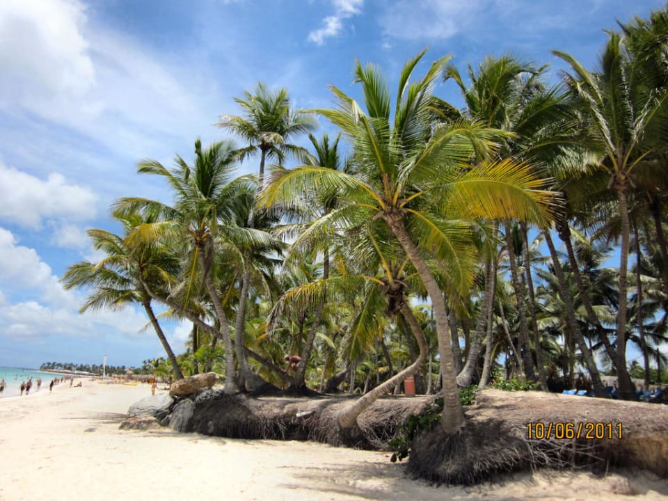 Ohne Worte Punta Cana Princess All Suites Resort & Spa