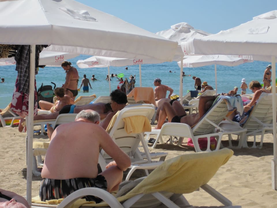 Roll dich zusammen wenn du Schatten brauchst GRIFID Vistamar