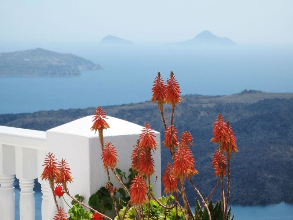 View from Homeric Poems Hotel Homeric Poems