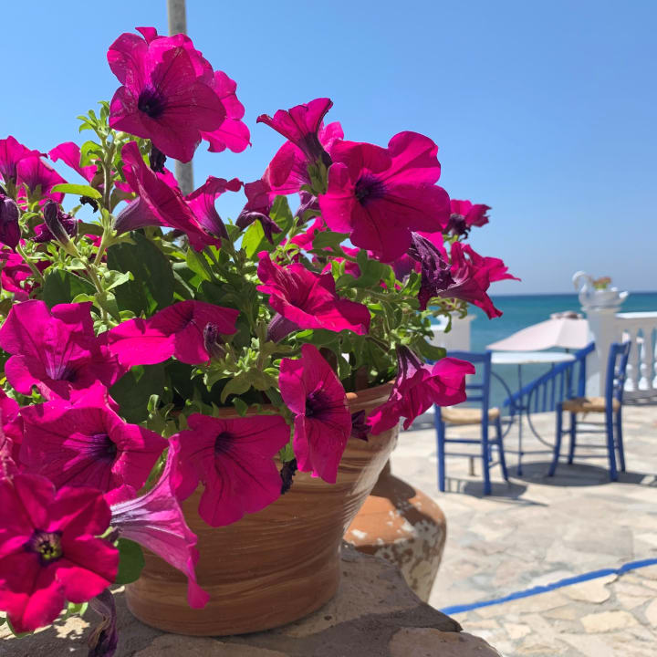 Gartenanlage Potokaki Beachfront Hotel