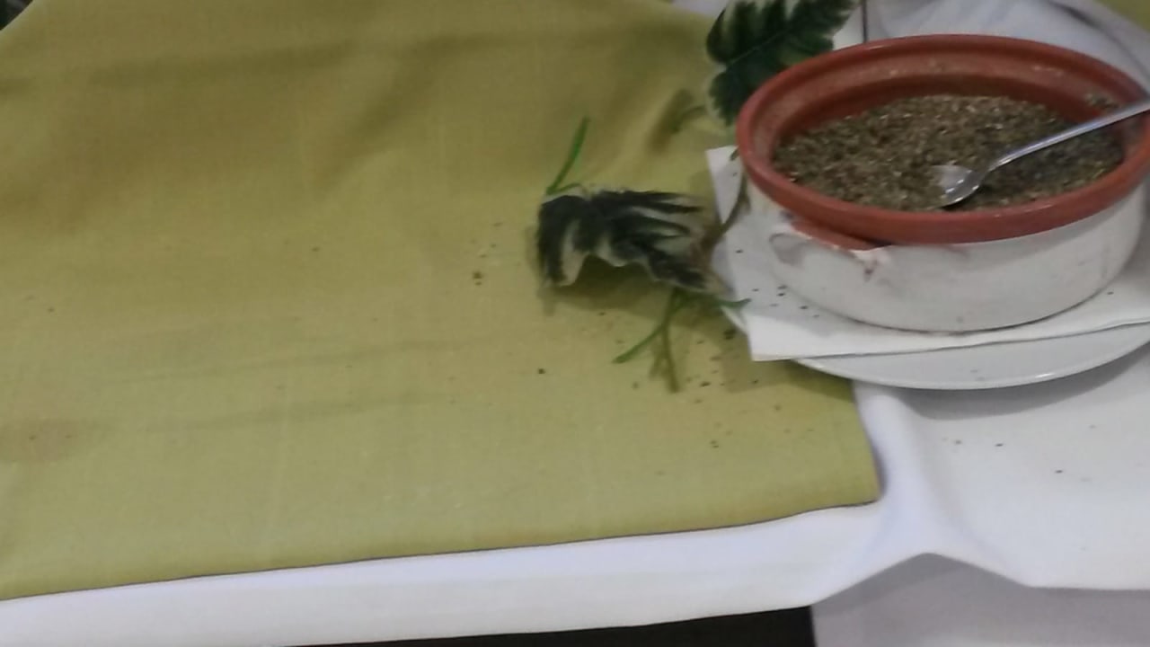 Gastro Akti Palace Resort & Spa