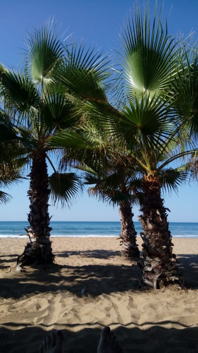 Strand Club Grand Aqua