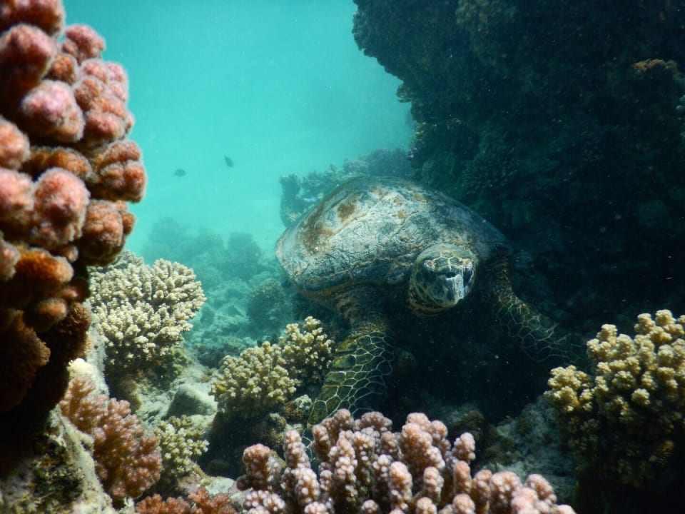 Strand Casa Mare Resort