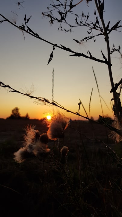 Ausblick Wasserschloss Mellenthin