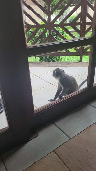 Sonstiges Neptune Village Beach Resort & Spa