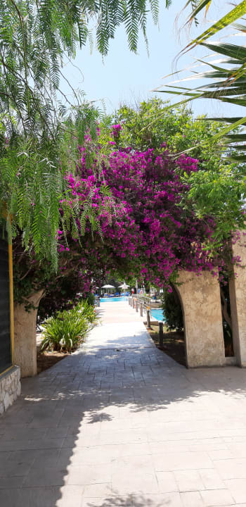 Außenansicht Caravia Beach Hotel