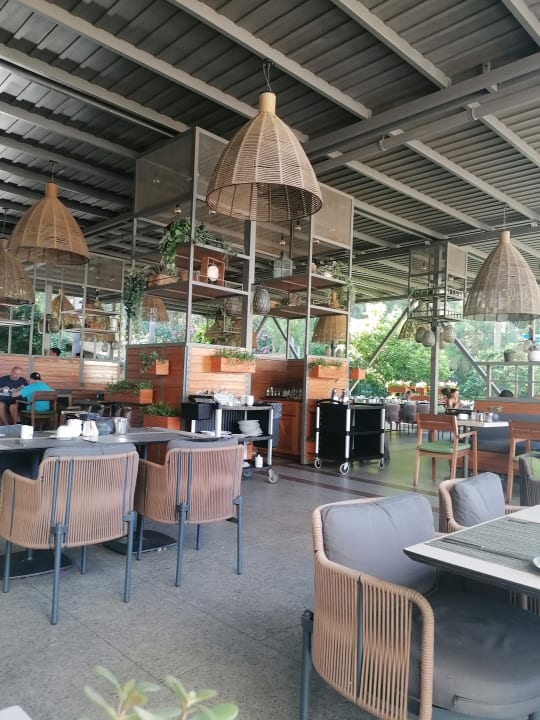 Gastro Arum Barut Collection