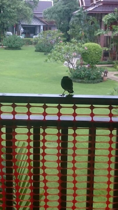 Ausblick Best Western Premier Bangtao Beach Resort & Spa