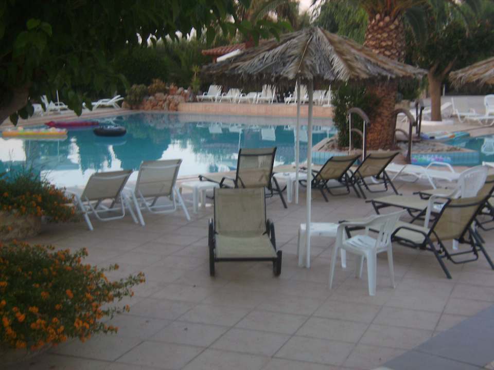 Pool mit Palmen Hotel Maravel