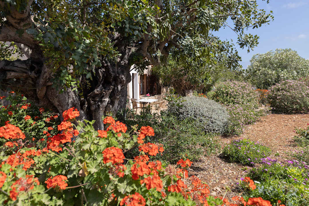 Zimmer Finca Son Marimon