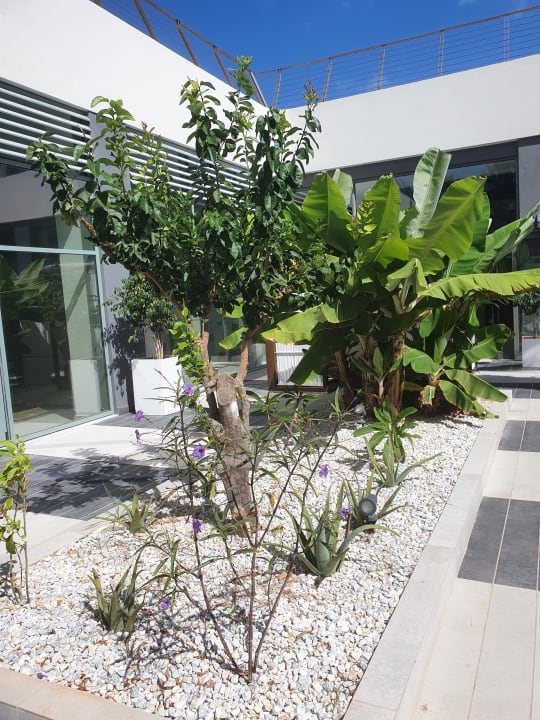 Außenansicht Arina Beach Resort