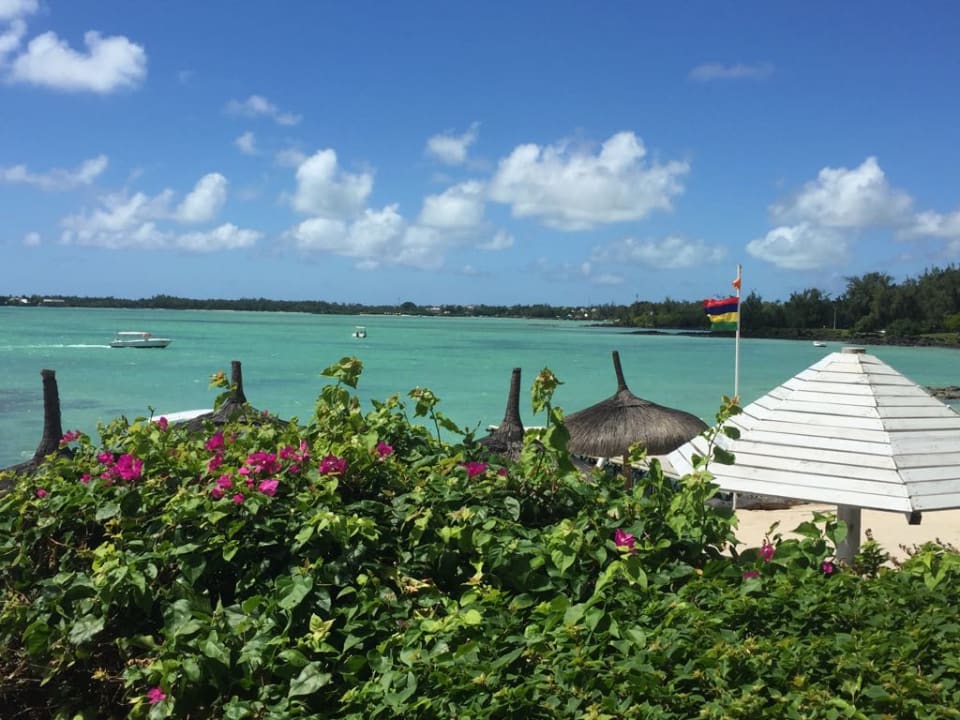 Strand Lagoon Attitude - Adults only