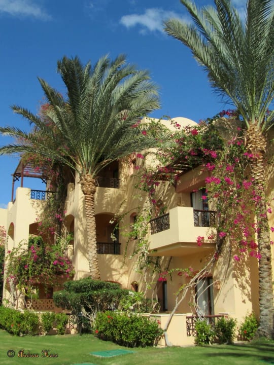 Garten/ Zimmer Steigenberger Coraya Beach - Adults only