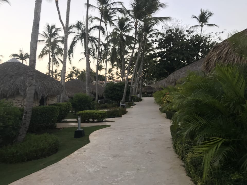 Gartenanlage Hotel Viva Dominicus Beach by Wyndham - All Inclusive Resort