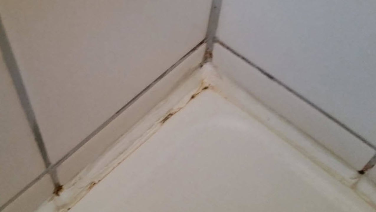 Schimmel Duschbecken Hotel Zur Linde