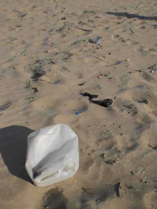 Dreckiger Strand Hotel Grand Primorsko Beach