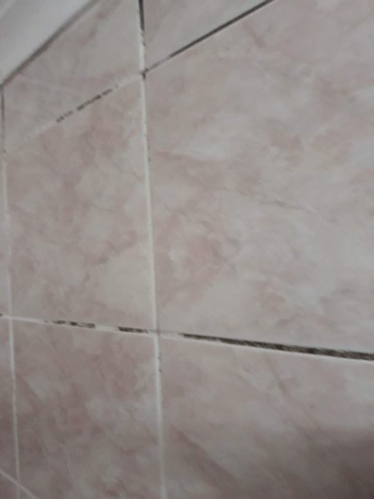 Zimmer Side Miami Beach