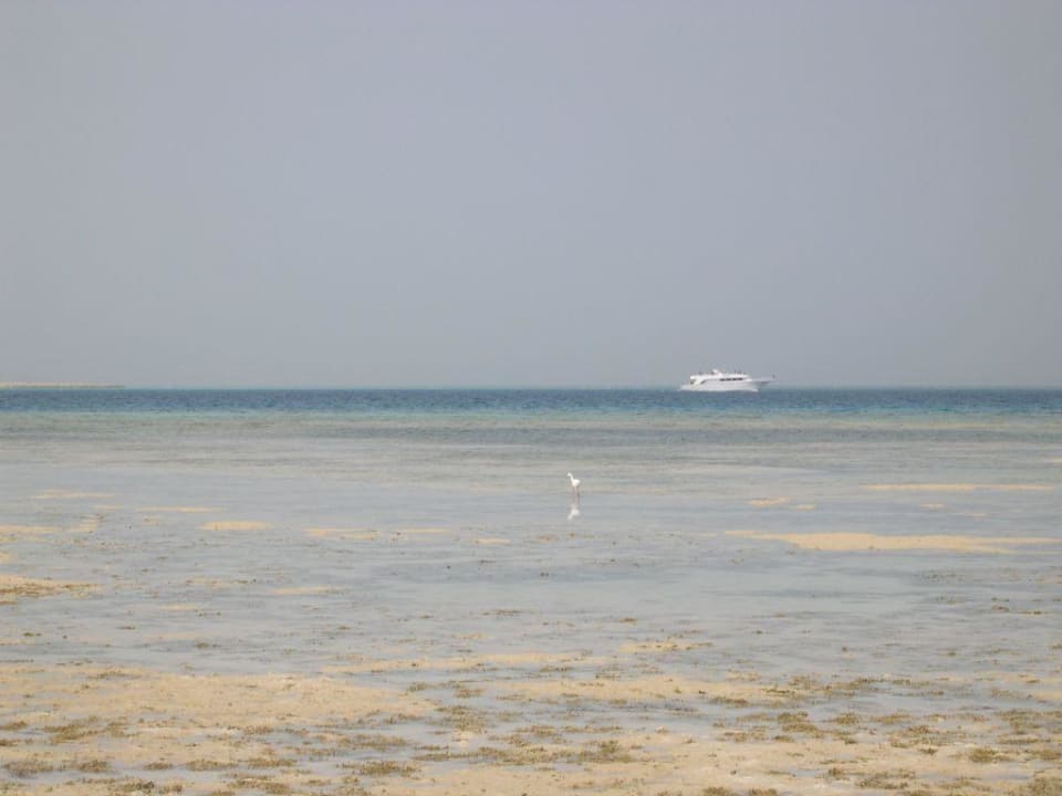 Das Meer vom Strand aus gesehen Makadi Palace