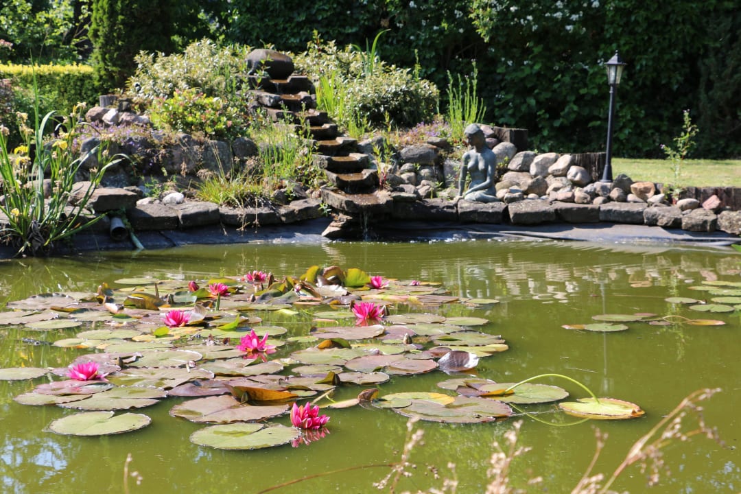 Hotelteich mit Seerosen Hotel Garni Zur Alten Post