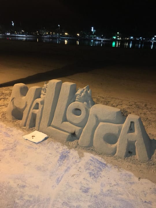 Strand Alcudia Garden & Palm Garden & Beach Garden