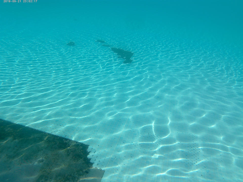 Pool Makadi Spa - Adults only