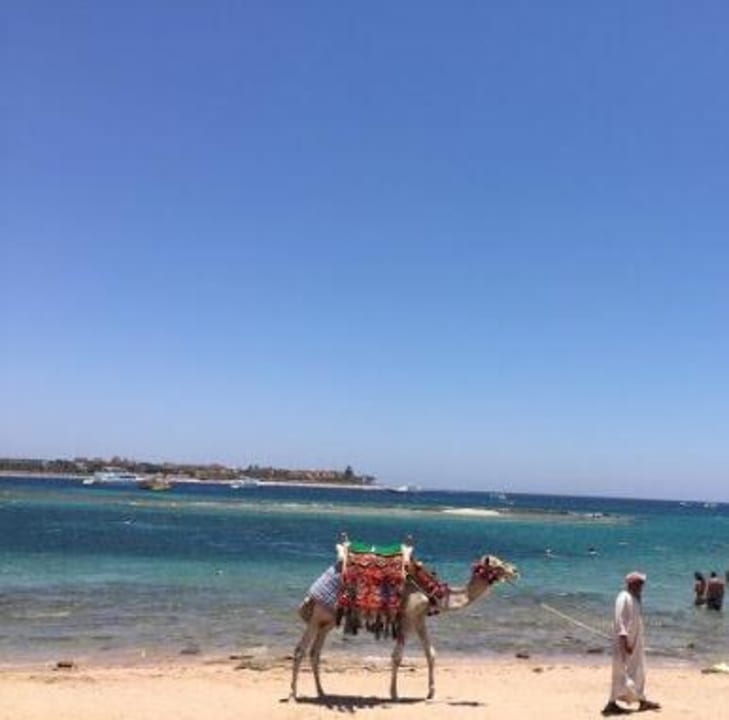 Beach JAZ Neo Saraya Palms