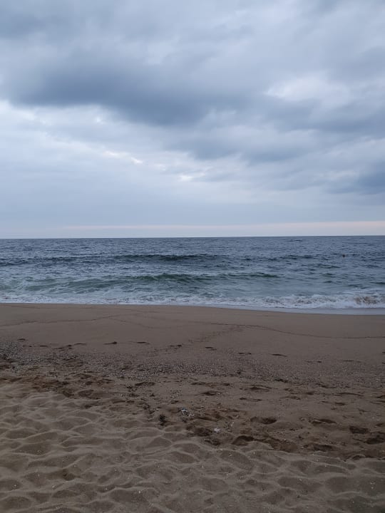 Strand Sentido Marea