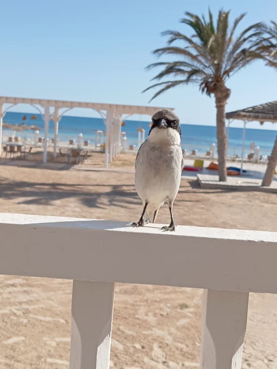 Sonstiges Calimera Yati Beach