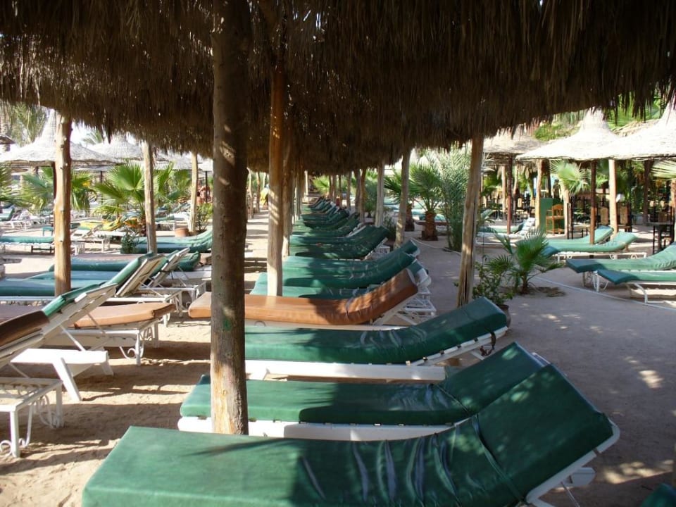 Sonnendach. Giftun Azur Resort