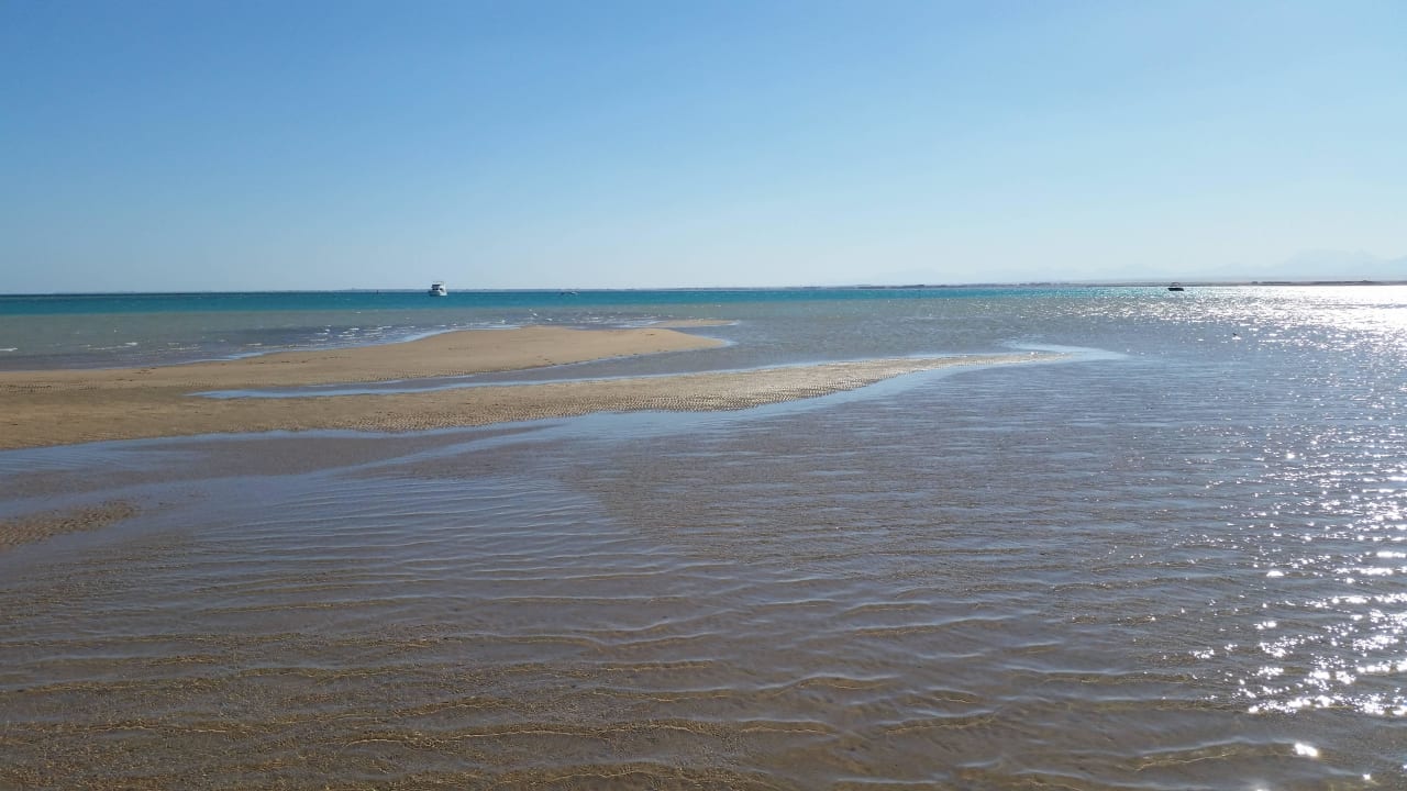Club Paradisio Hotel El Gouna Club Paradisio El Gouna, Red Sea