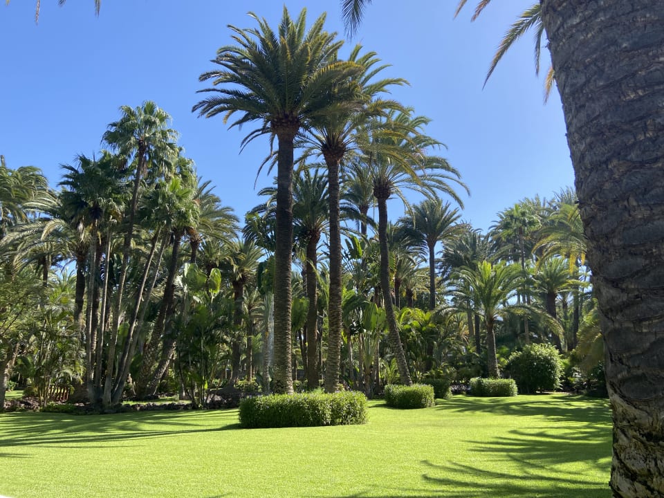 Gartenanlage Hotel Riu Palace Oasis