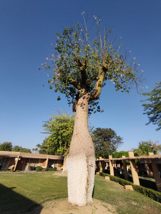 Außenansicht Jolie Ville Kings Island Luxor
