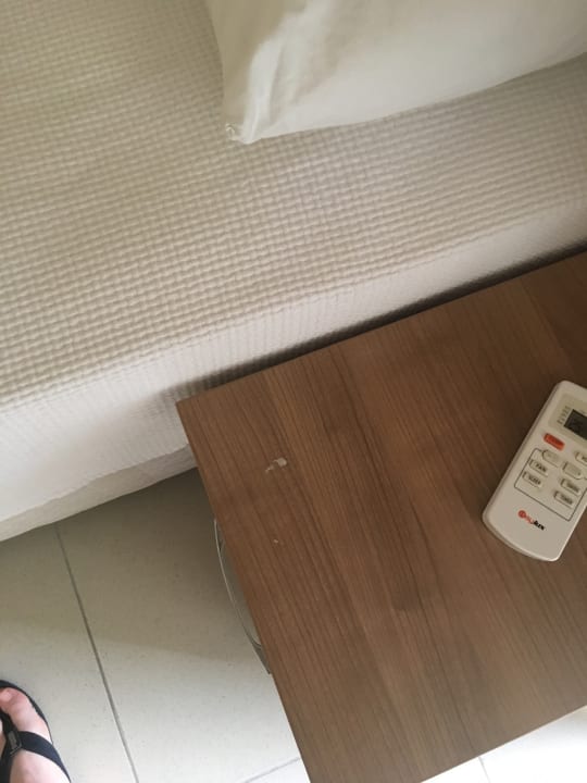 Zimmer Hotel Catty Cats Garden