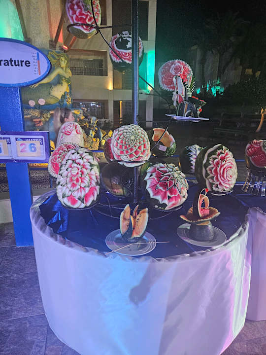 Sonstiges Seagull Beach Resort