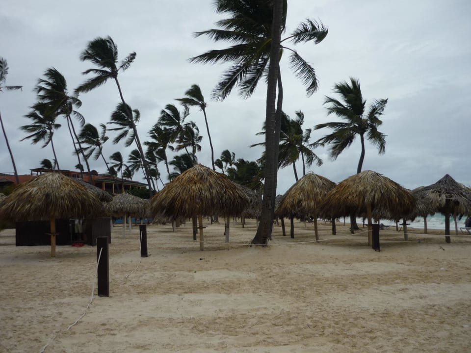 "Bertha" in Aussicht Punta Cana Princess All Suites Resort & Spa