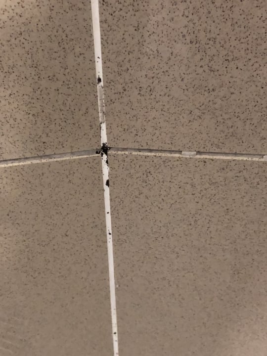 Zimmer Park Inn by Radisson Berlin Alexanderplatz