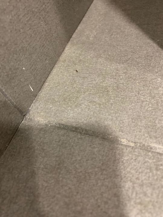 Zimmer Hostal La Pasajera