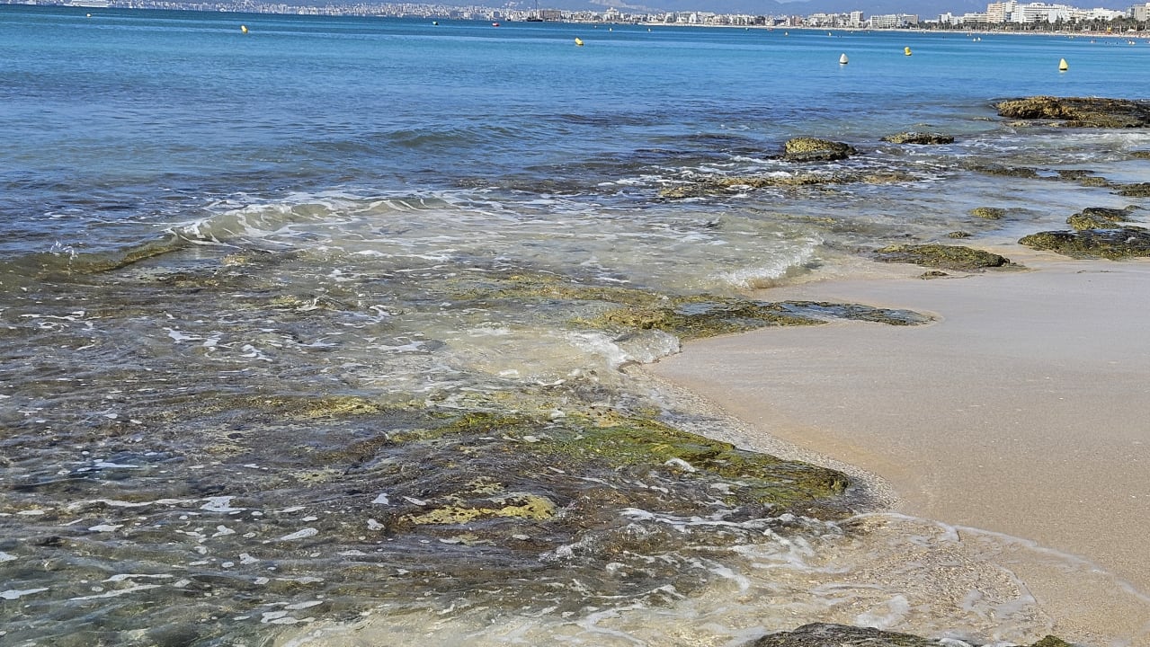 Strand AluaSoul Palma