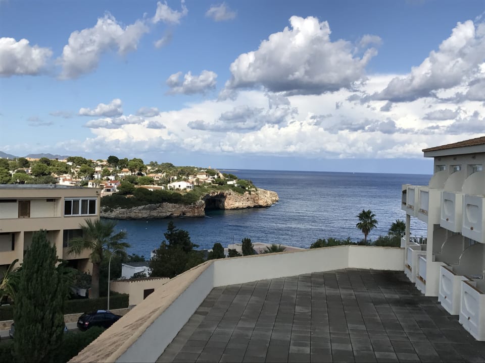 Zimmer blau punta reina