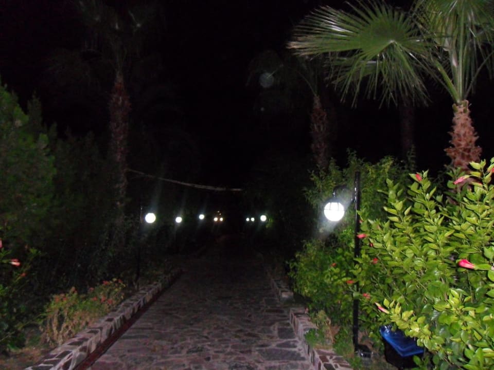 Выход к пляжу ночью Holiday Park Resort